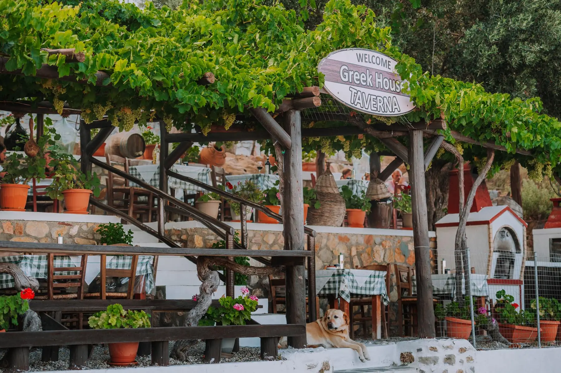 Traditional Greek dishes served in a rustic setting